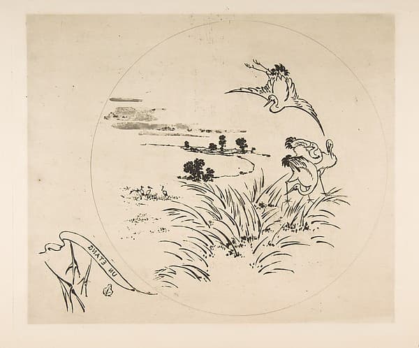 Decoration for a Plate: A Pond, by Félix Bracquemond