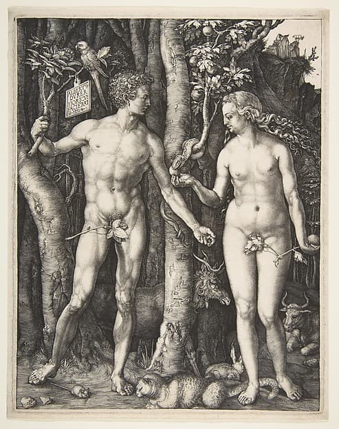 Adam and Eve, by Albrecht Dürer