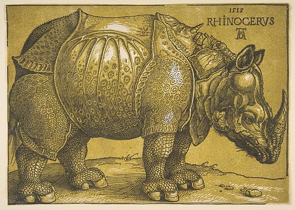 The Rhinoceros, by Albrecht Dürer