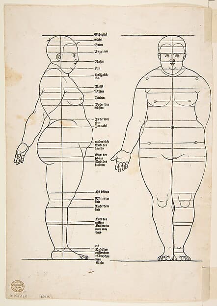 IIllustration from Dürer's "Vier Bucher von Menslicher Proportion", by Albrecht Dürer
