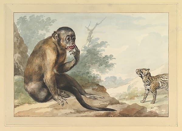 A Monkey Sitting on a Rock Looking at a Civet, by Aert Schouman