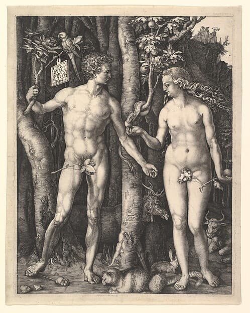 Adam and Eve, by Albrecht Dürer