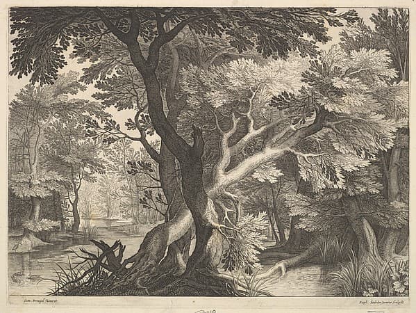 Wooded landscape, by Raphael Sadeler II