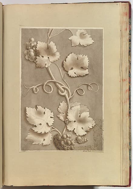 Grapes and Vine-leaves, by Alfred Henry Forrester [Alfred Crowquill]