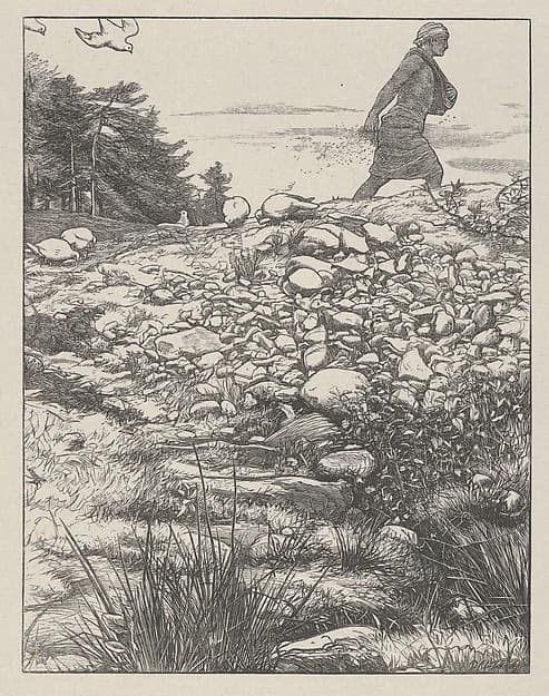 The Sower (The Parables of Our Lord and Saviour Jesus Christ), by Sir John Everett Millais