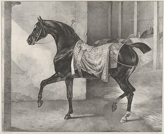 Black Horse Tethered in a Stable, by Théodore Géricault