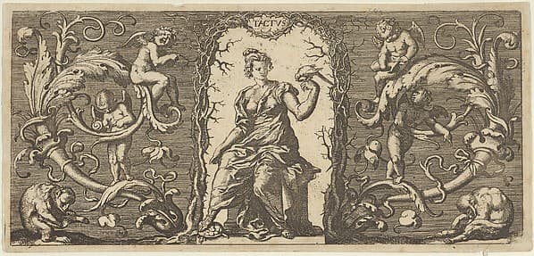 Touch (Tactus), from "Quinque Sensuum", by Franz Cleyn