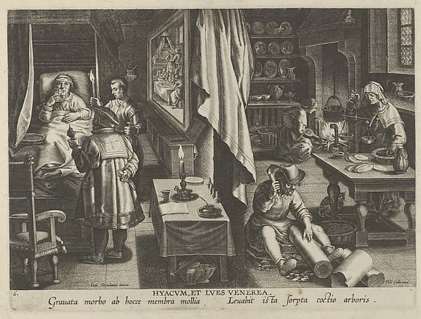 New Inventions of Modern Times [Nova Reperta], The Discovery of Guaicum as a Cure for Veneral Infection, plate 6, by Jan Collaert I