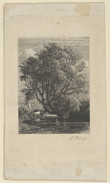 The Willow, by Samuel Palmer