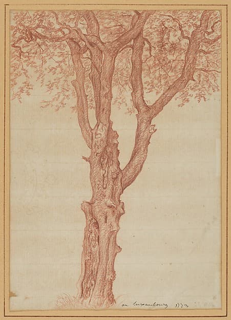 Study of a Tree in the Luxembourg Gardens, by Pierre Henri de Valenciennes