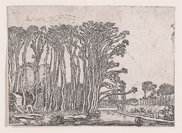 The Charcoal-Burner, from "Verscheyden Landtschapjes" (Various Little Landscapes), Plate 9, by Willem Pietersz Buytewech