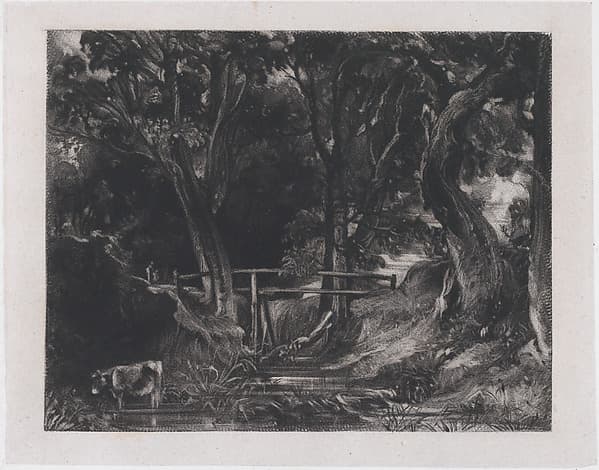 A Dell, Helmingham Park, Suffolk, by David Lucas