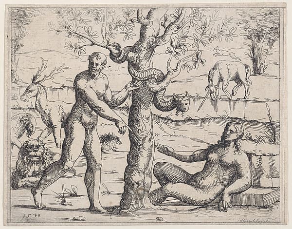 Adam and Eve Eating the Forbidden Fruit, from "Old and New Testaments", by Augustin Hirschvogel