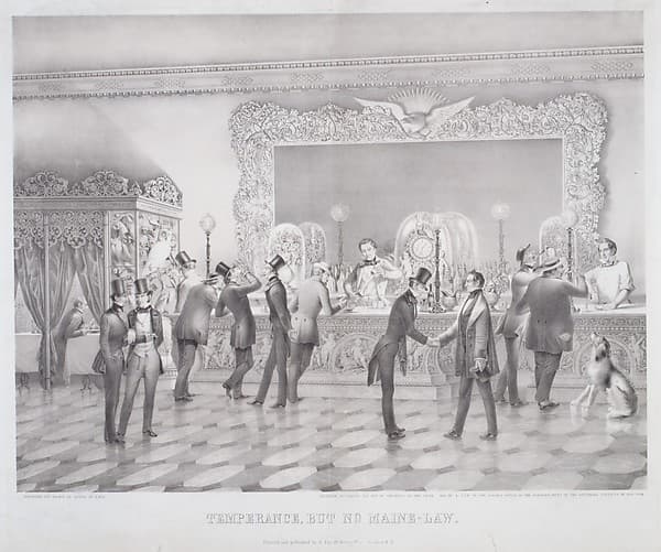 Temperance, but No Maine Law, by Augustus Fay