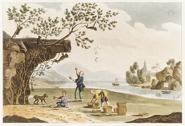 The Repository of Arts, Literature, Fashions, Manufactuers, &c., 2nd series, volume 12, by Rudolph Ackermann, London