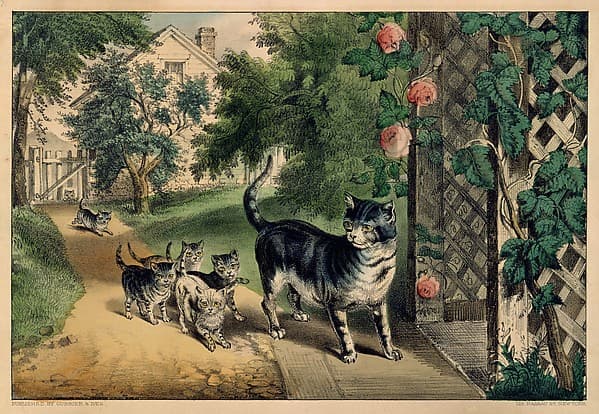 Pussy's Return, by Currier & Ives