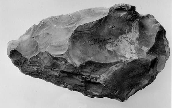 Biface, commonly referred to as a hand ax