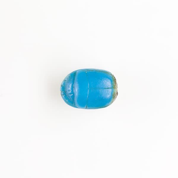 Scarab