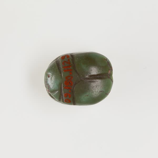 Scarab