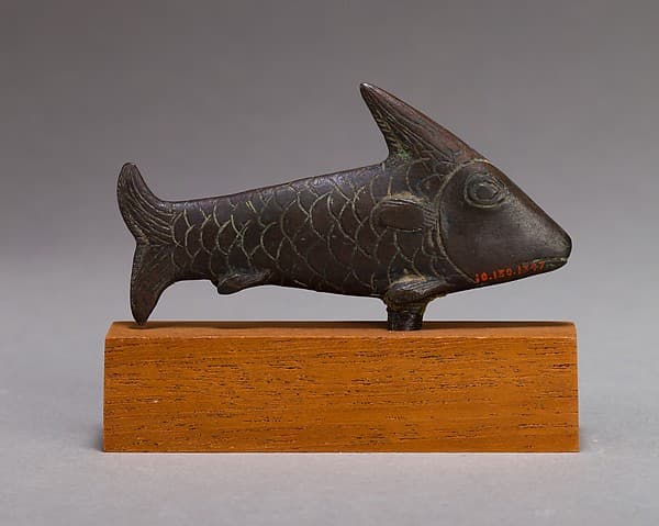 Lepidotus fish
