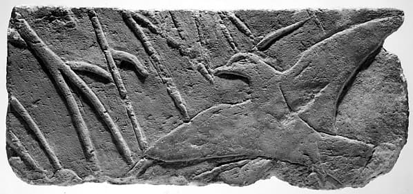 Relief with a bird
