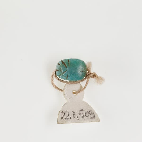 Scarab