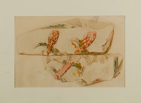 Water Plants, by Hugh R. Hopgood