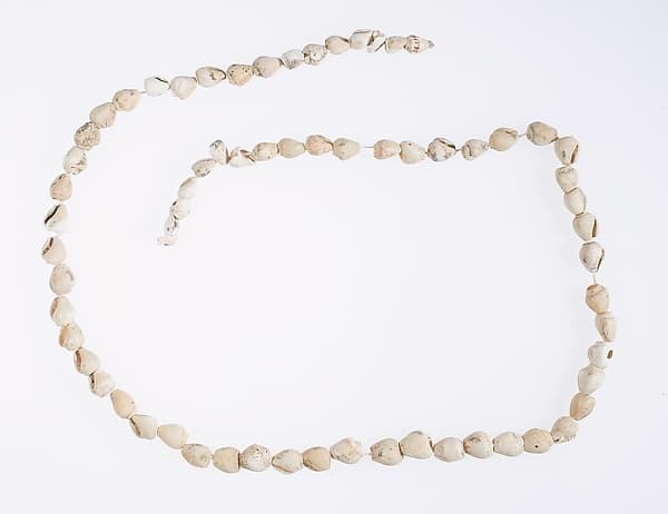 Hepy, String of periwinkle shells