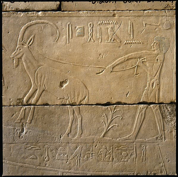 Tomb Chapel of Raemkai: South Wall