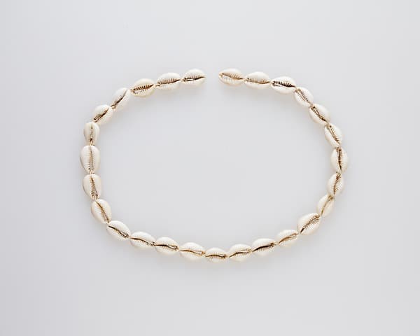 String of cowrie shells