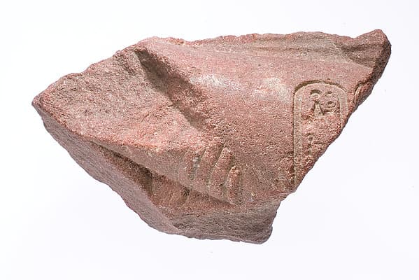 Forearm from a bent royal arm crossing the front profile of figure's body and the rear profile of a second figure, arm marked with Aten cartouches, supported by the hand of an Aten ray