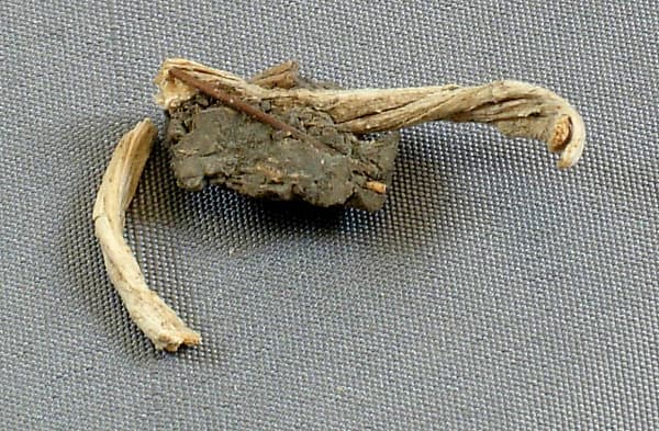 Mud Sealing Attached to a Fiber Tie from Tutankhamun's Embalming Cache