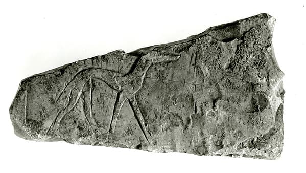 Sunk relief fragment