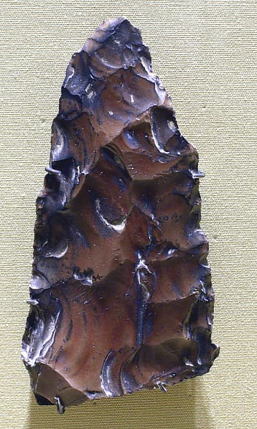Biface, commonly referred to as a hand ax