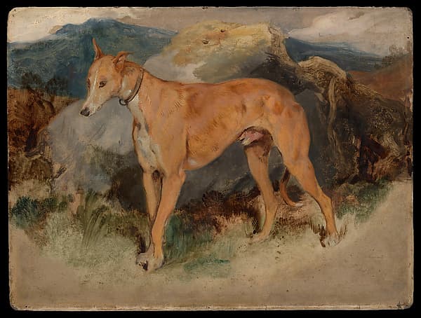 A Deerhound, by Sir Edwin Henry Landseer