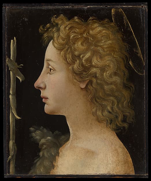 The Young Saint John the Baptist, by Piero di Cosimo (Piero di Lorenzo di Piero d'Antonio)