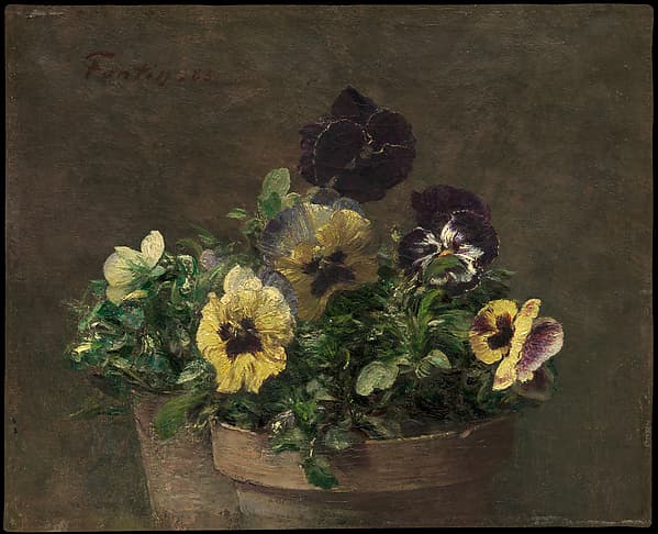 Potted Pansies, by Henri Fantin-Latour