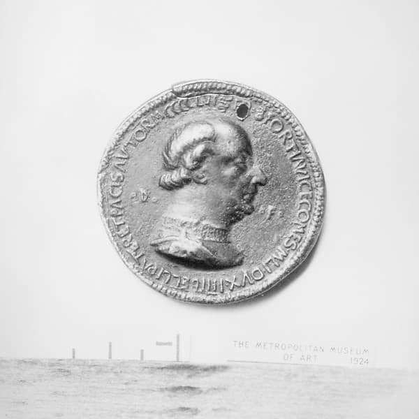 Francesco and Galeazzo Maria Sforza, by Gian Francesco Enzola