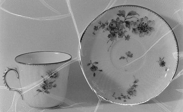 Cup and saucer, by Royal Porcelain Manufactory