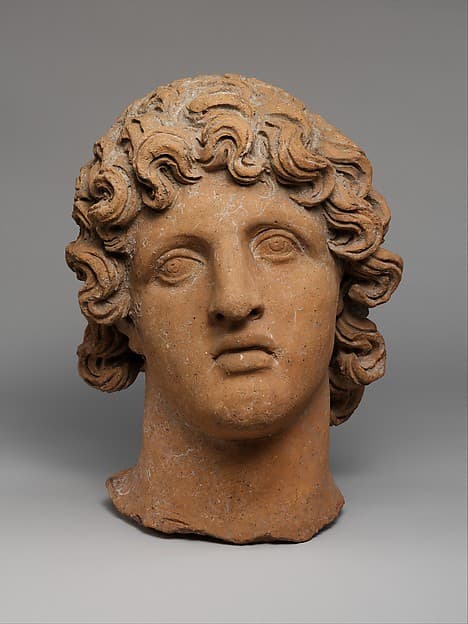 Terracotta head of a youth
