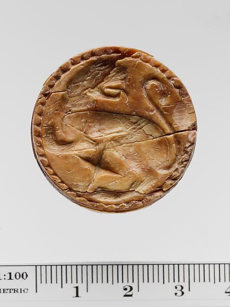 Ivory discoid seal