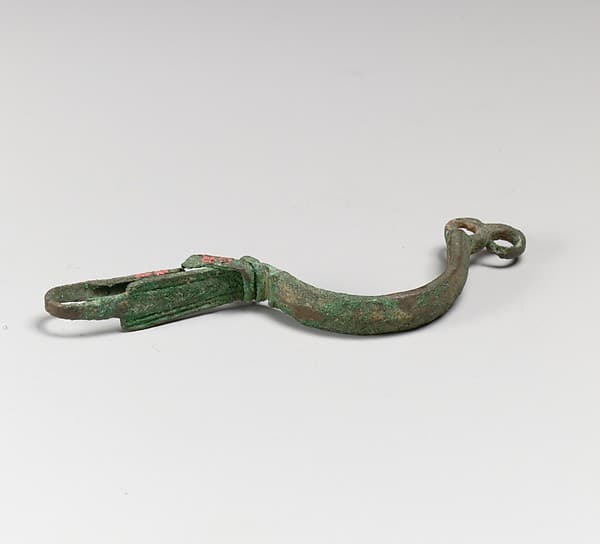 Fibula