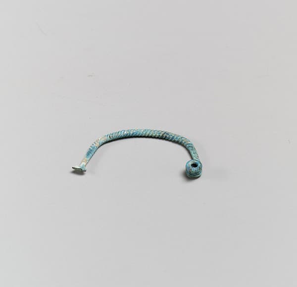 Fibula