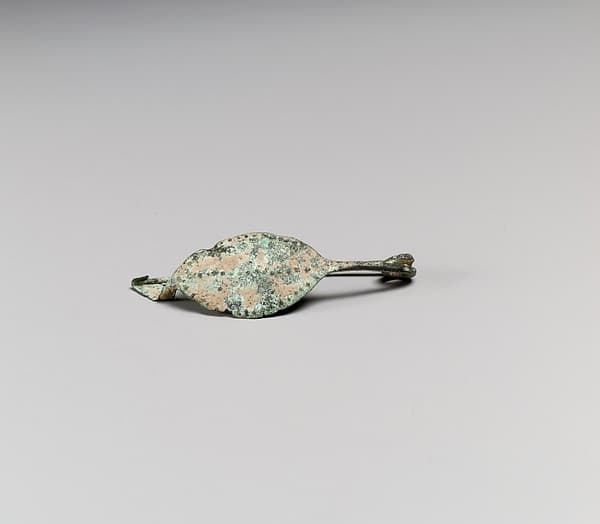 Fibula