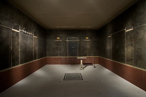 Wall paintings on black ground: from the imperial villa at Boscotrecase