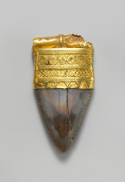 Tooth pendant set in gold