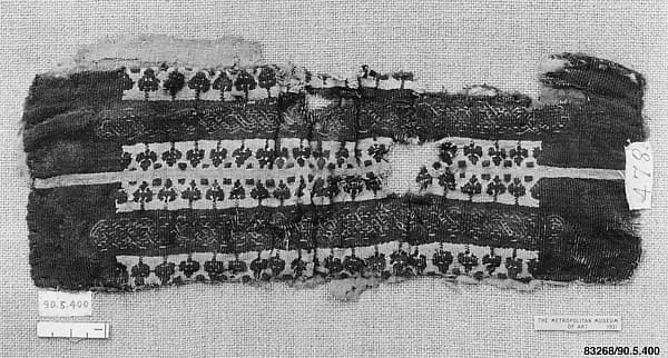 Fragment of a Sleeve