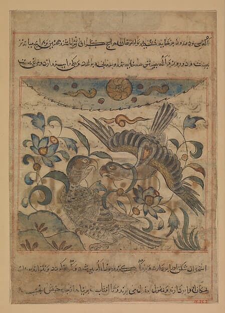 "Pair of Eagles", Folio from a Manafi' al-hayawan (On the Usefulness of Animals) of Ibn Bakhtishu', by Ibn Bakhtishu'