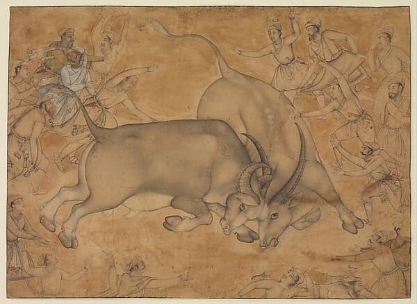 Buffaloes in Combat, by Miskin