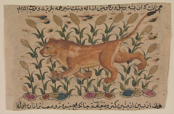 " A Lion", Folio from a Dispersed Nuzhatnama-i ‘Ala’i of Shahmardan ibn Abi’l Khayr, by Shamardan ibn Abi 'l Khayr